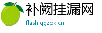 补阙挂漏网